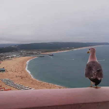 Bart's Sitio: Sea-view, Pool And Tennis Nazaré